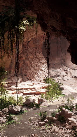 la entrada de la cueva en una selva verde exuberante