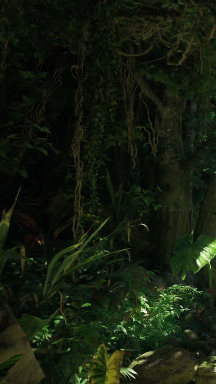 Exploring a lush tropical forest during bright daylight hours