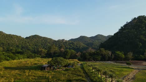 Aerial-footage-towards-the-hills-and-blue-sky-also-revealing-a-flower-park-in-Khao-Yai,-Pak-Chong,-Thailand