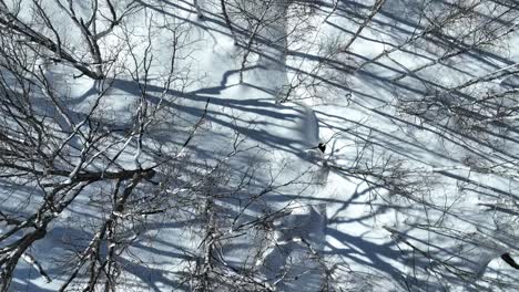 Aerial-establishing-shot-of-Japan-snowy-valley-near-the-Nagano-Myoko-Yamanochi-region