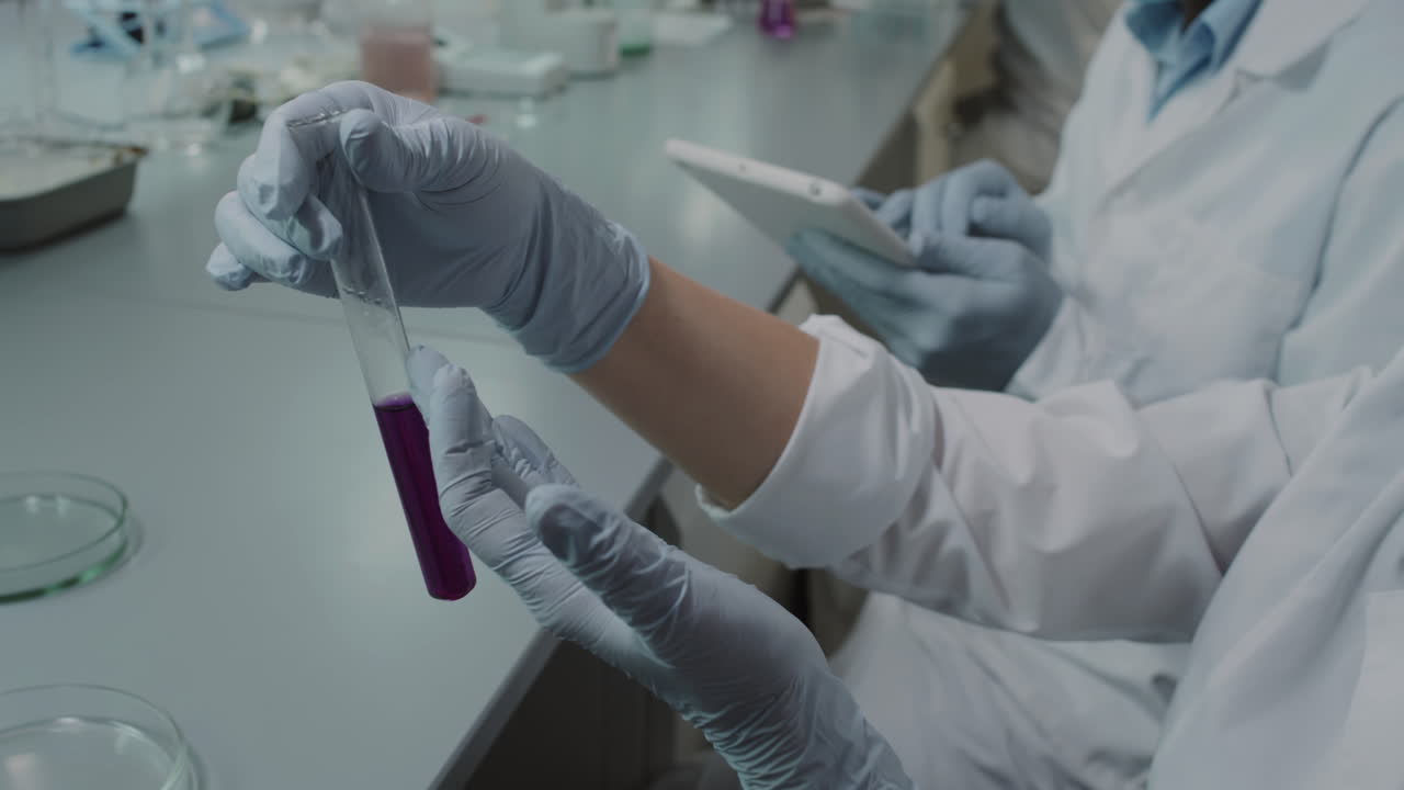 Chemists Observing Solution in Test Tube