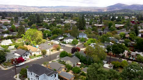 drone flies above nearby town adjacent to napa with tree lined streets, orbit under overcast sky