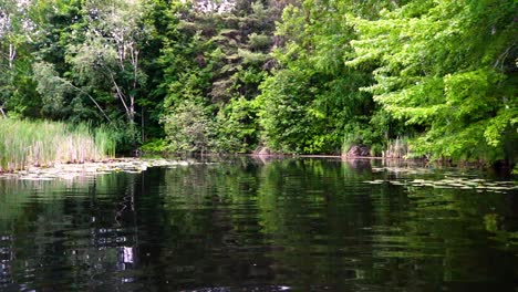 Schuss-Von-Einer-Tretbootfahrt-In-Einem-Kanal-In-Der-Mitte-Von-Michigan