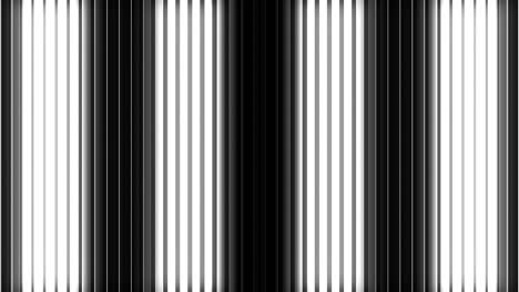 black and white vertical stripes