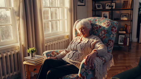 elderly woman resting in an armchair by the window