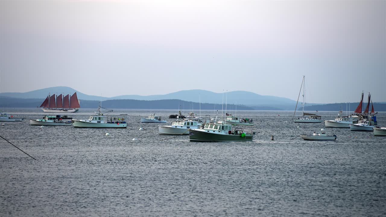 Sailboats sail around marina with many fishing vessels moored to buoys in open waters