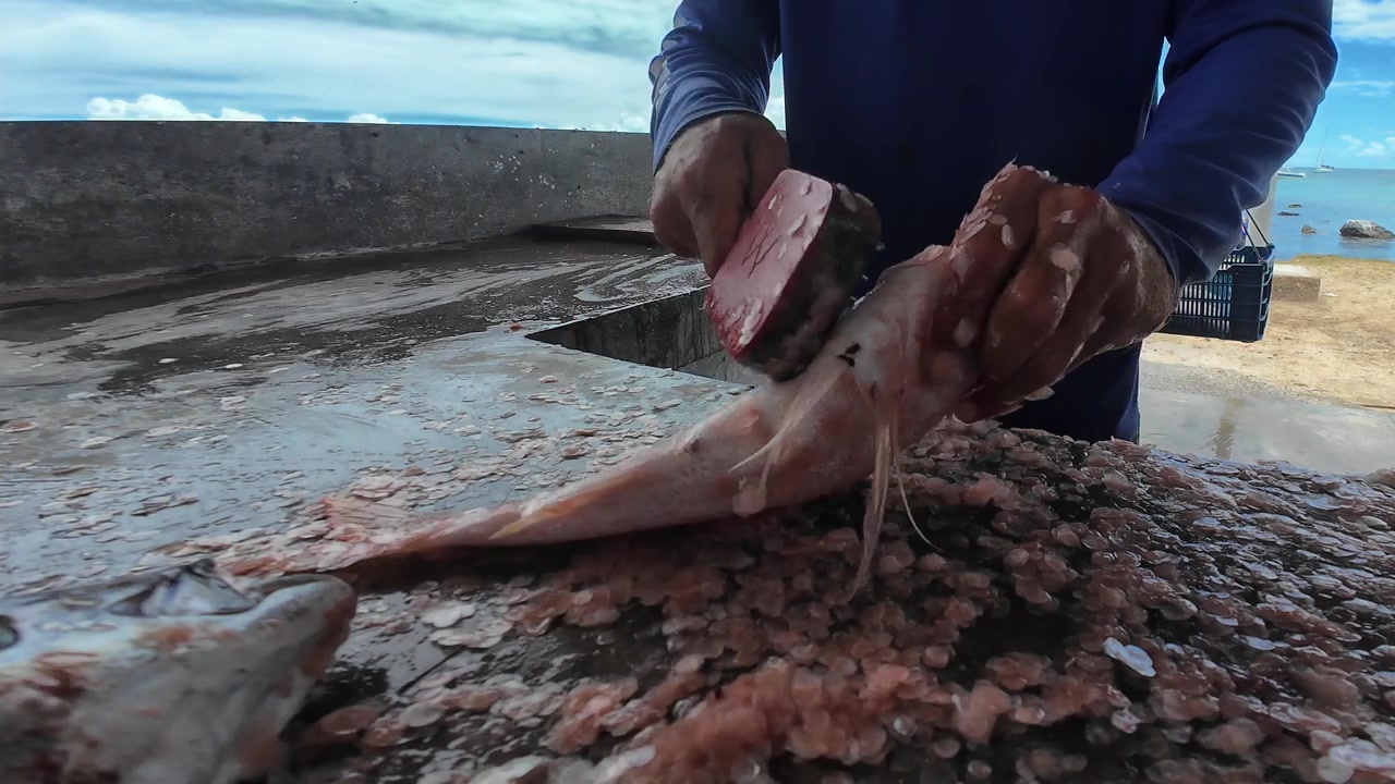 Angolazione statica su un pescatore che squama pesce appena pescato in un mercato locale sul lungomare caraibico