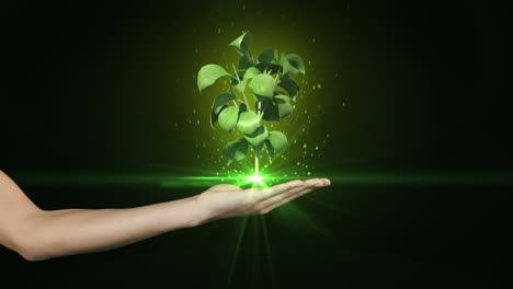 Hand-presenting-digital-green-plant-growing