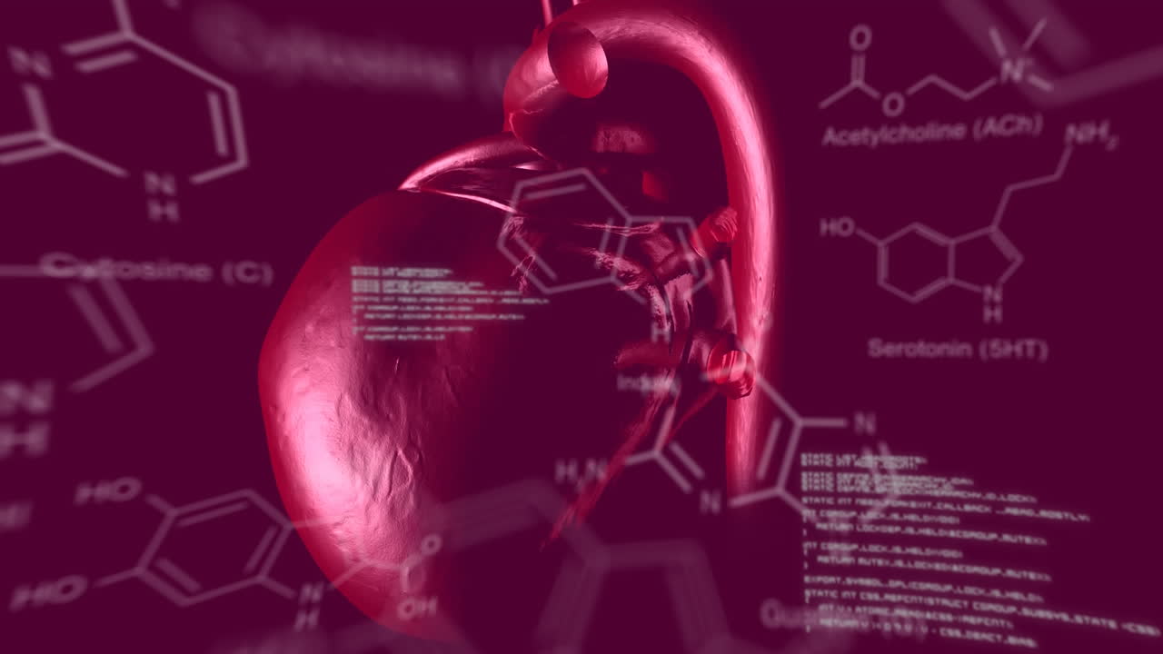 Human heart with data and structural formula of chemical compounds