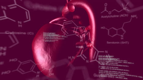 human heart with data and structural formula of chemical compounds