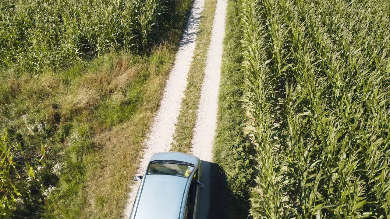 Aerial top-down tracking shot capturing a farmer driving along the farm road in his car, navigating through vast wheat and grain plantations in the picturesque Bavarian countryside of Germany