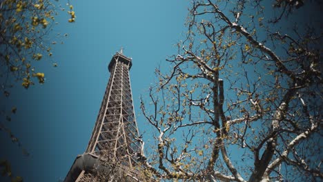 paris eiffel tower behind tree brunches and green leafs at daylight under blue sky