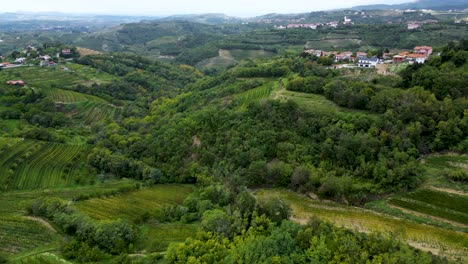 Lush,-Green-Countryside-of-Slovenia-in-Beautiful-Summertime,-Aerial