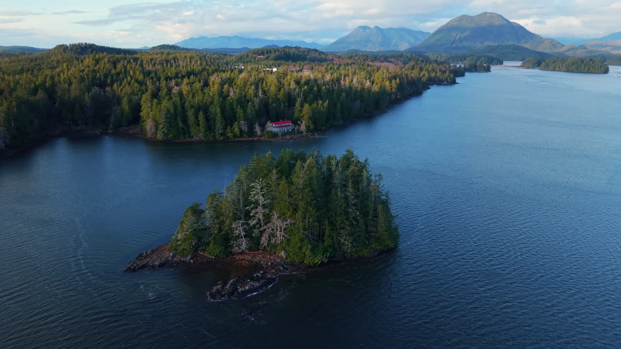tomada de drone de tofino en la isla de vancouver que muestra colores de otoño, costa escarpada y olas del océano en una vista aérea panorámica.