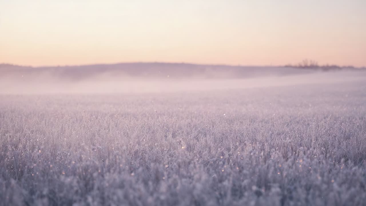 Warming sunrise light and slow camera push revealing frosty grass meadow at dawn, mist sparkling