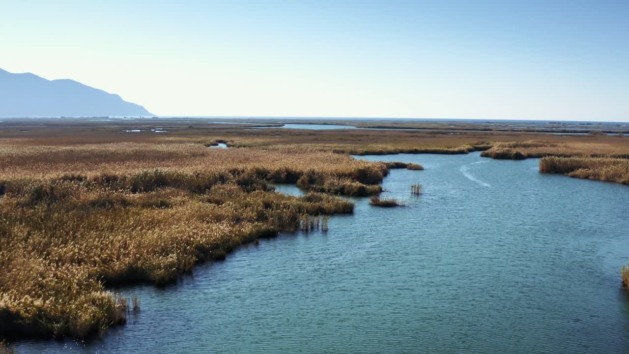 가을에 갈대가 노랗게 물든 델타의 저공 촬영