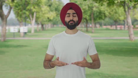 sikh indian man doing yoga in park