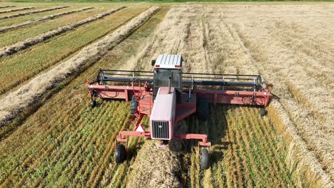 Sie-Folgen-Einem-Schwader-über-Das-Feld,-Während-Er-Weizen-Schneidet