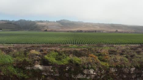 aerial view of farm off the coast off of high way 1 in northern california