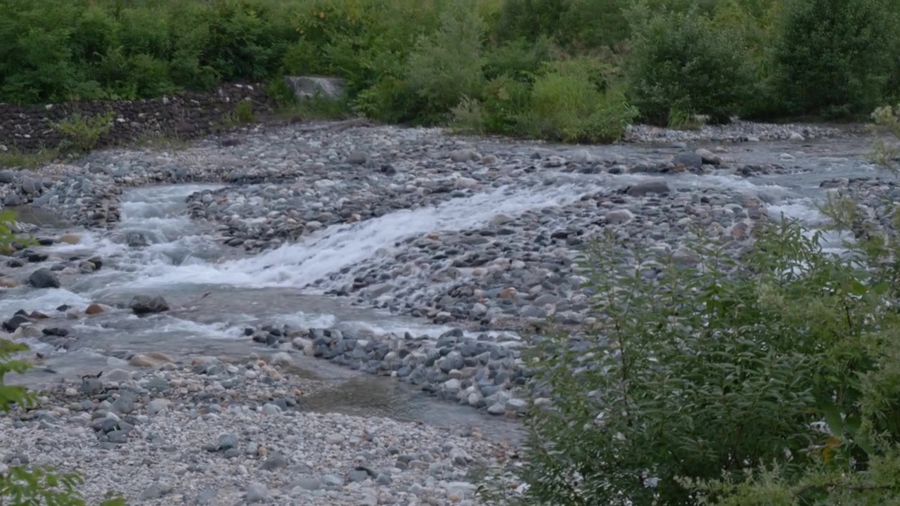 Fiume di montagna impetuoso attraverso la foresta a Hakone, Giappone. - Inquadratura ampia.