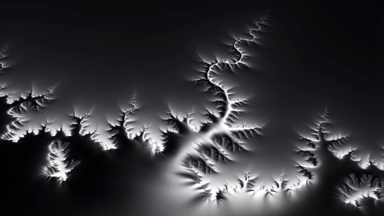 Abstract Black and White Fractal Art