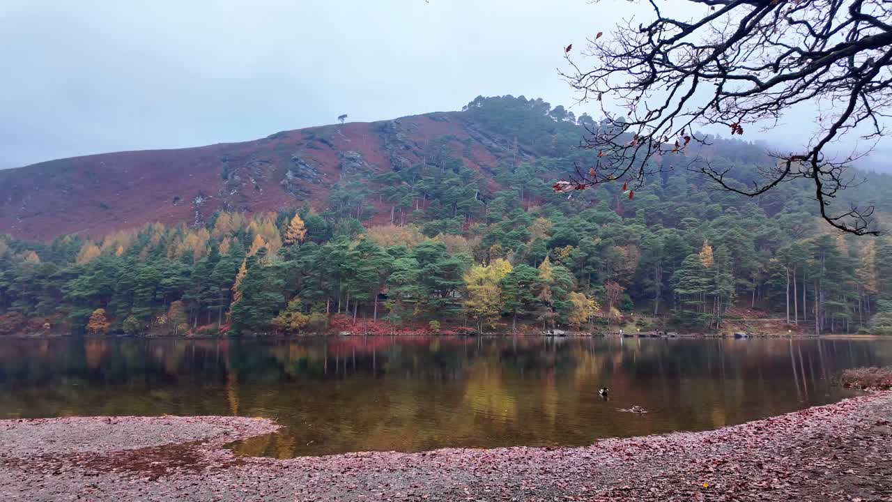 조용한 아일랜드 겨울 풍경, 글렌달로 우퍼 레이크 (glendalough upper lake) 와 위클로 (wicklow) 의 관광 명소