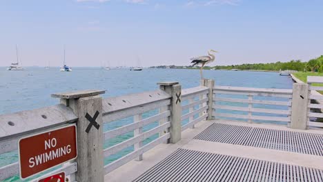 Pelican on a pier during day Florida Key Biscayne