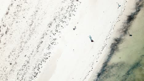 4K-Aerial-flying-drone-shot-of-Kiwengwa-beach-washed-with-turquoise-Indian-ocean-waves