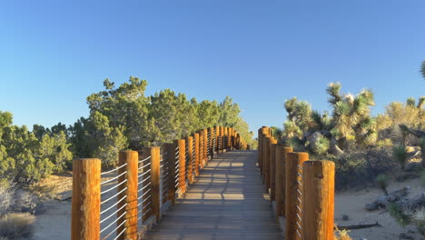 An-empty-wooden-walking-bridge-in-a-desert-habitat-nature-preserve-with-Joshua-Trees-and-blue-skies-during-sunrise-golden-hour-in-Antelope-Valley,-California