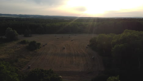 hay bales in a field at sunset