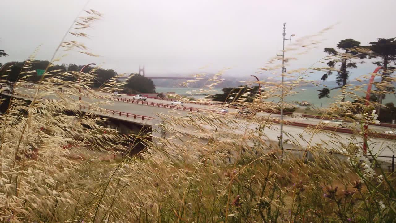 Gimbal static shot of the Golden Gate Bridge in fog with grass in the foreground outside the Presidio of San Francisco, California