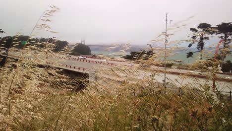 gimbal static shot of the golden gate bridge in fog with grass in the foreground outside the presidio of san francisco, california