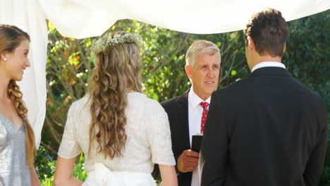 priest talking to the bride and groom 4k 4k