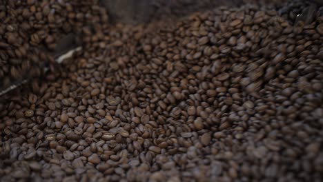 coffee beans mixing after roast to cool down, static medium shot of production