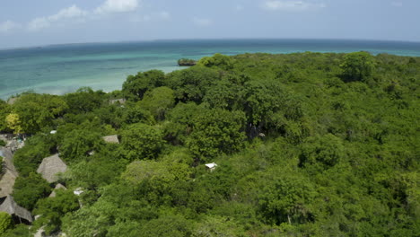 árbol baobab en la selva tropical costera con pueblo de pescadores en la isla de kwale