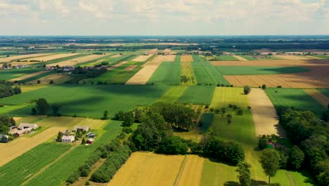 Vertikale-Streifen-Von-Landwirtschaftlichen-Parzellen-Verschiedener-Kulturen