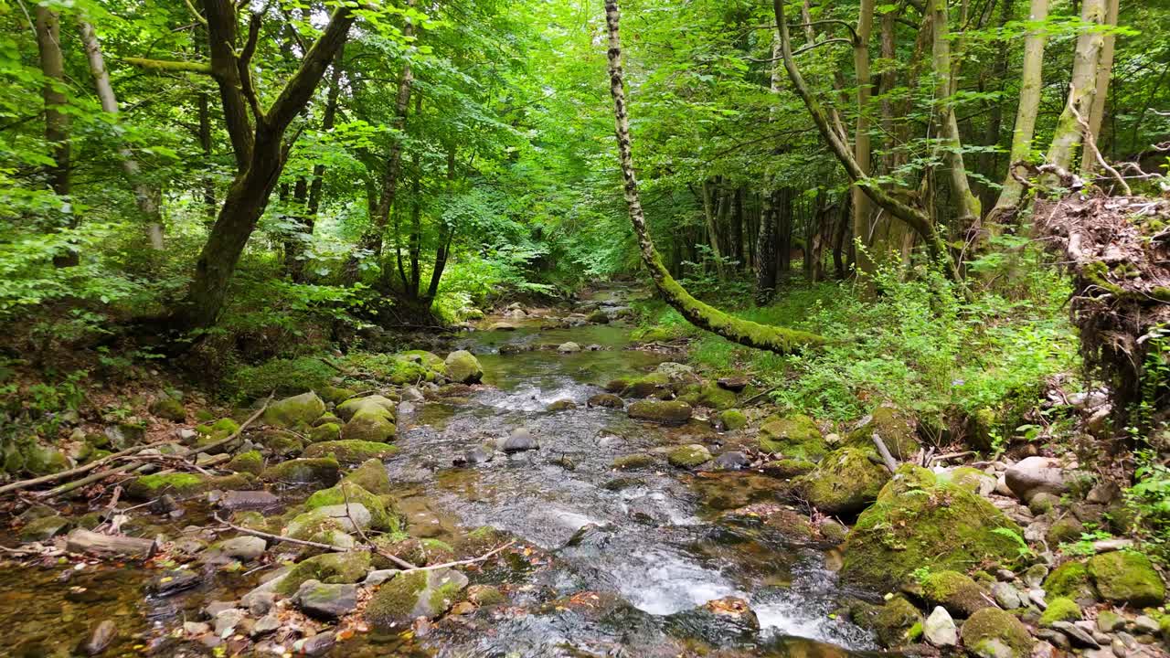 Vandresti gennem frodig skov, der fører til Sutovsky-vandfaldet i Mala Fatra, Slovakiet. Luftfoto af lille vandfald langs stien. Smuk natur, perfekt til rejse- og udendørseventyr-temaer