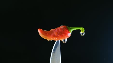 칼 끝에 은 칠리 고추에 조명을 켜고