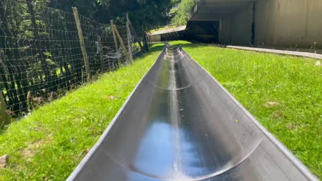 summer bobsledding fun