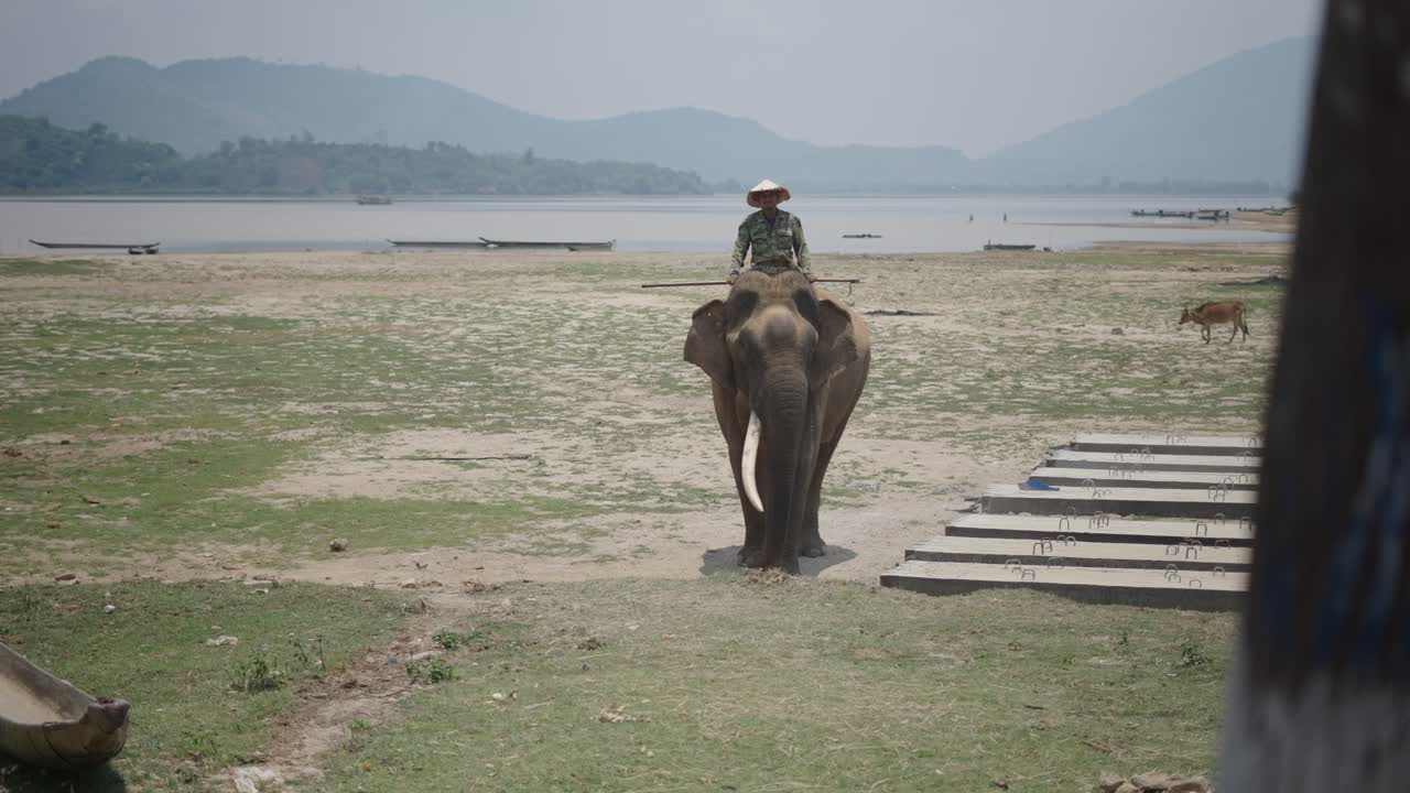 Man riding an elephant near a river
