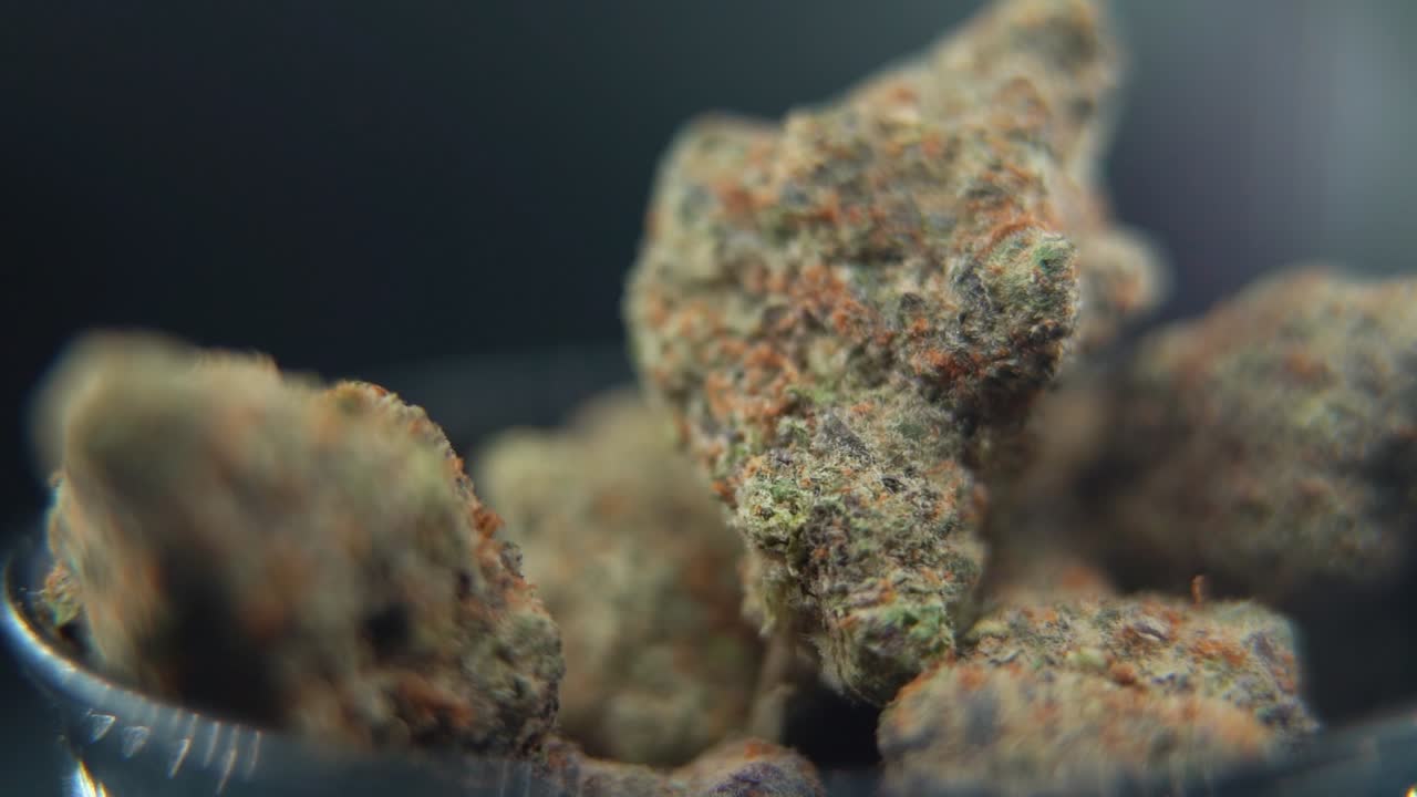 A macro close up detailed shot of a cannabis plant, marijuana flower, hybrid strains, Indica and sativa, on a rotating stand in a black shiny bowl, 120 fps Hyper slow motion Full HD, studio lighting