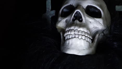 Human-skull-on-creepy-background-medium-zoom-in-shot