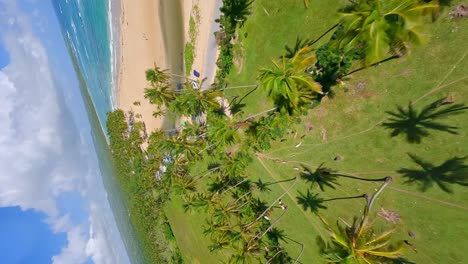 vuelo fpv vertical sobre un jardín tropical con palmeras y playa dorada y río bacui durante el día soleado