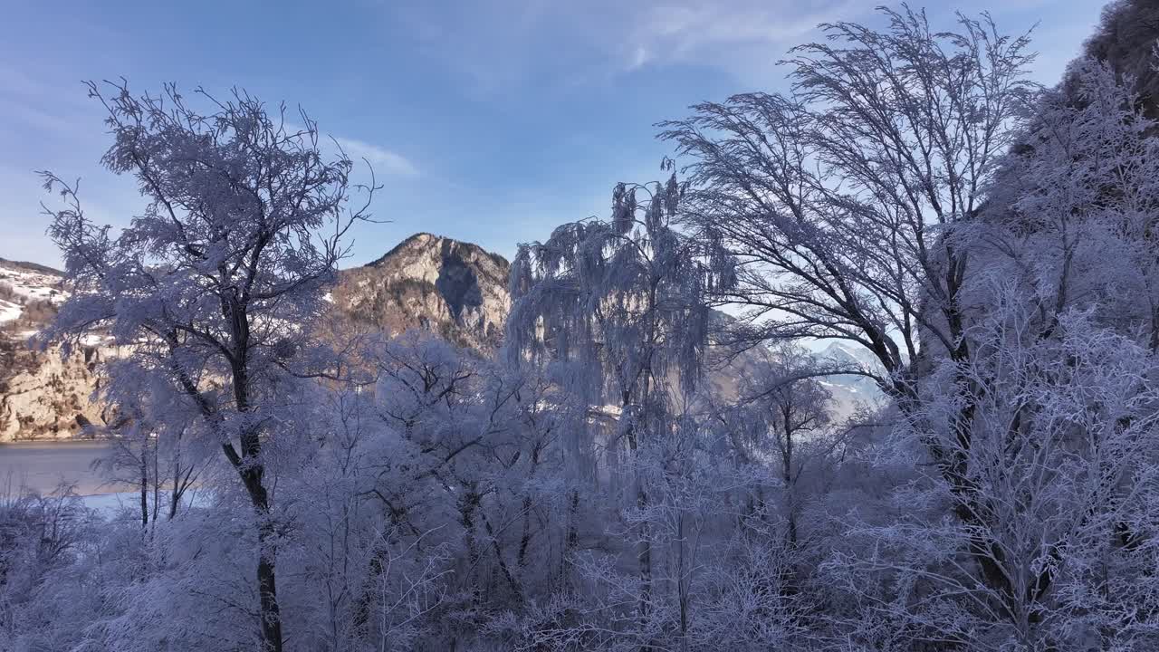 Stunning winter scenery at Walensee, Switzerland, covering Wessen, Amden, Quinten, Mols and Walenstadt, snow-covered trees, frozen landscapes and majestic mountains reflect on pristine lake.
