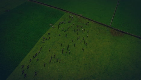 animación de la red de conexiones sobre el paisaje