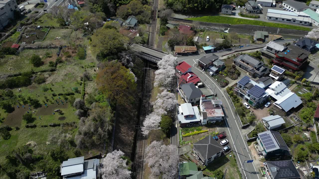 Yamakita rural village in Kanagawa, Japan. Drone flight with Sakura