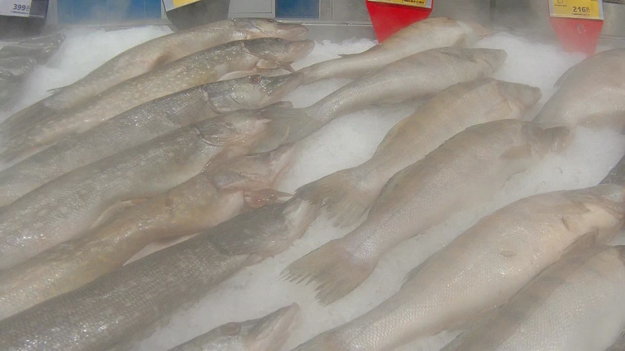 신선한 냉동 생선