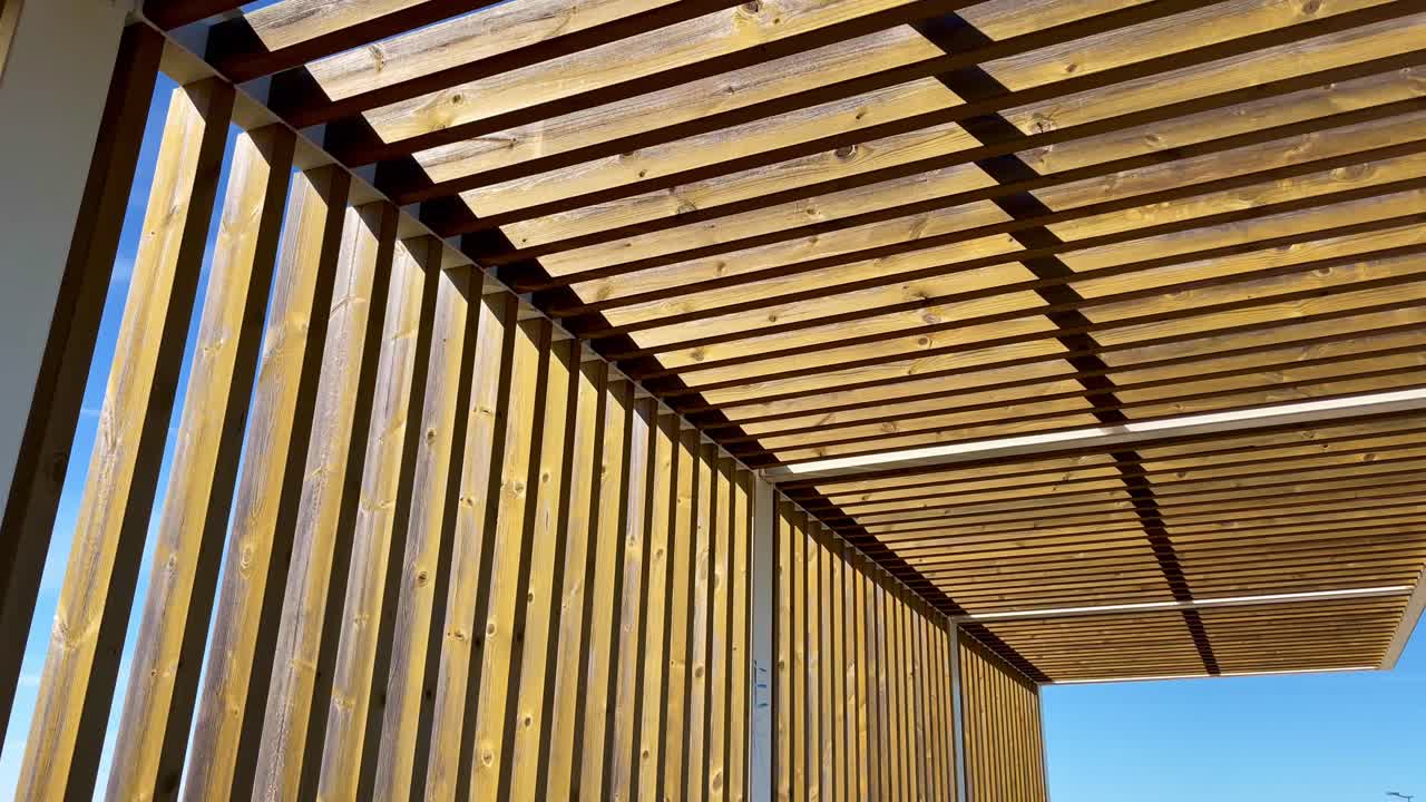 나무 algarve 포르투갈에 형성된 재미있는 바람막이