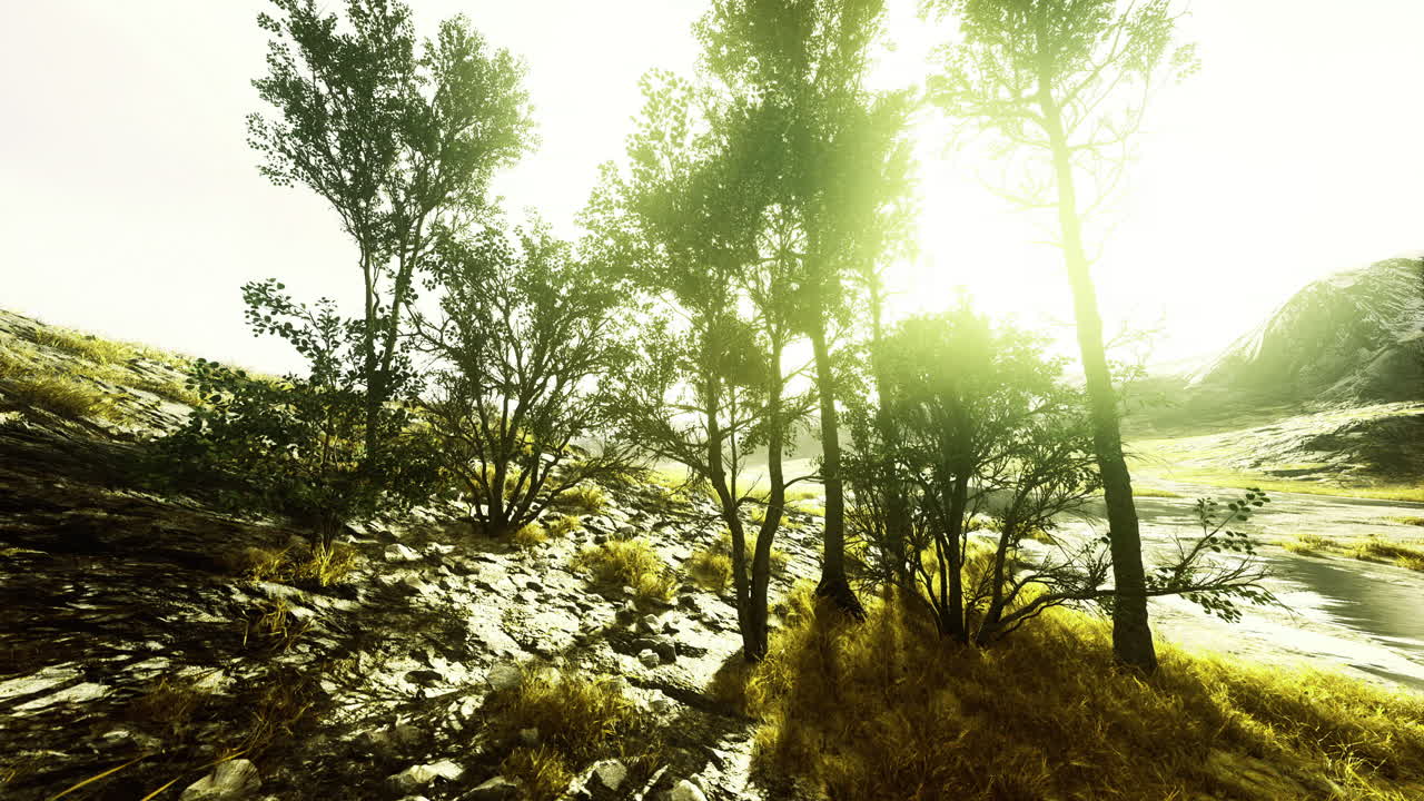 Golden sunlight filtering through trees in a serene natural landscape