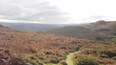 Campo-Galés-Tierras-De-Cultivo-Rural-Heather-Mountain-Valley-Heather-Follaje-Paisaje